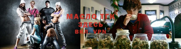 гашик Мегион
