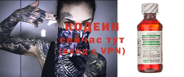 гашик Мегион