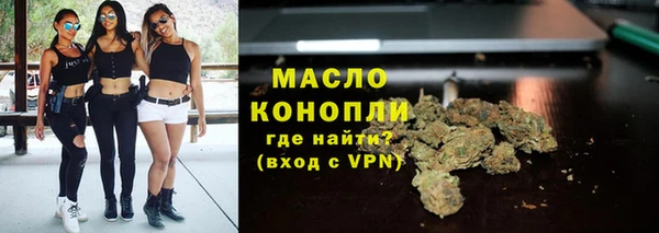 гашик Мегион