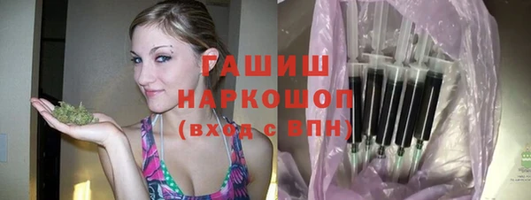 гашик Мегион