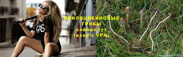 2c-b Медногорск