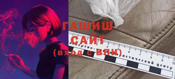 гашик Мегион