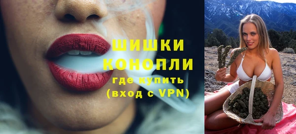 гашик Мегион