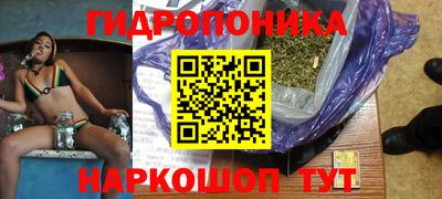 шишки Кингисепп