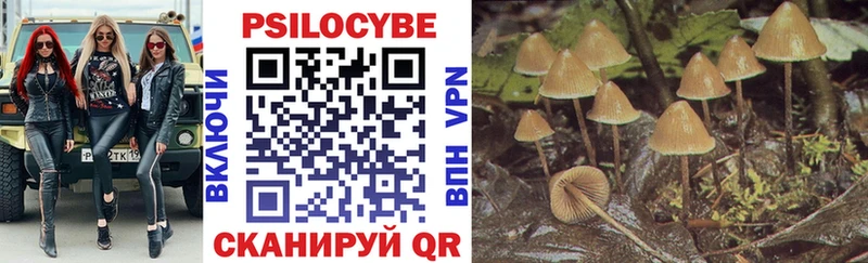 хочу наркоту  Дубна  Псилоцибиновые грибы Psilocybine cubensis 