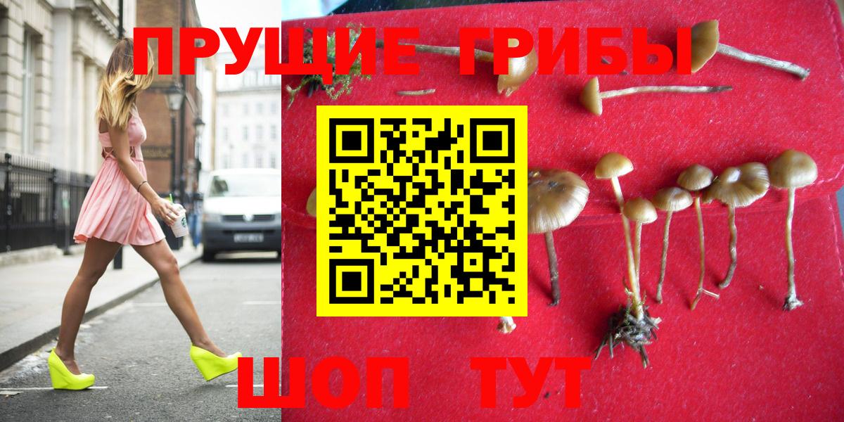 Галлюциногенные грибы MAGIC MUSHROOMS Дубна