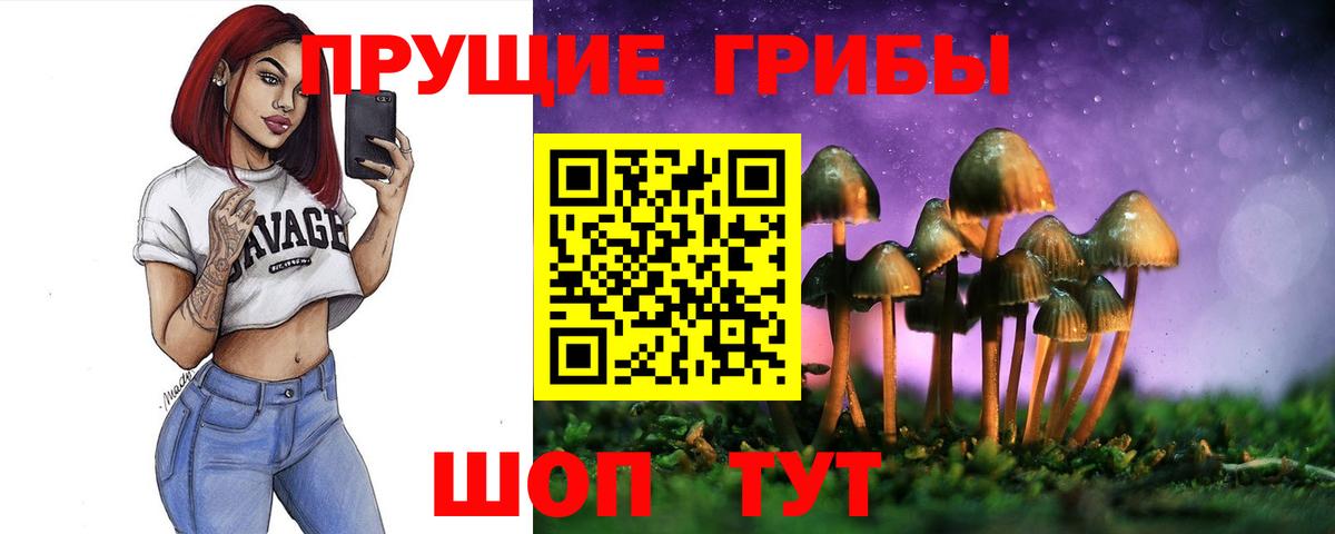 что такое   Дубна  Галлюциногенные грибы ЛСД 