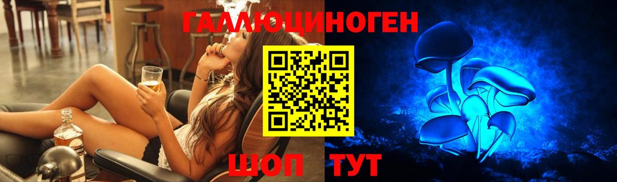 Дубна  Псилоцибиновые грибы Psilocybine cubensis  где можно купить наркотик  Вход с VPN 